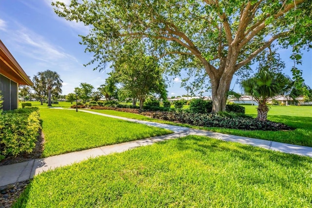 6701 12th Ave W, Bradenton, FL 34209 - view of grassy yard