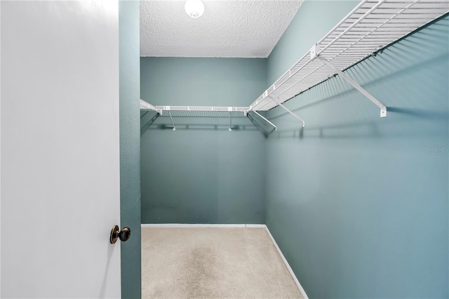 3934 Brookside Dr, Sarasota, FL 34231 - spacious closet with carpet floors