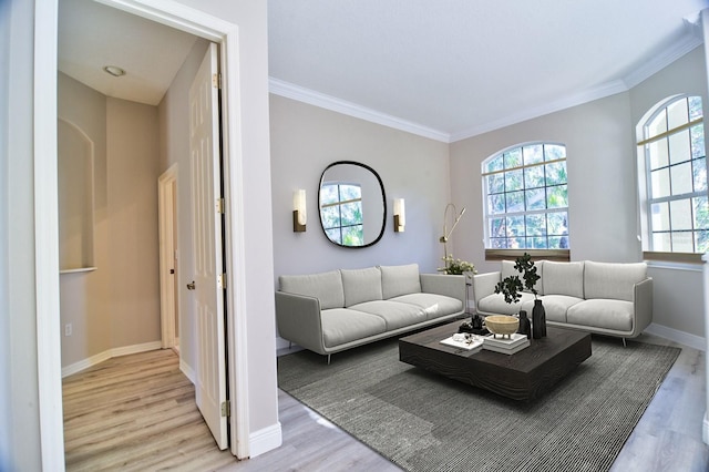 2809 112th Ter E, Parrish, FL 34219 - living area featuring light wood-type flooring and ornamental molding