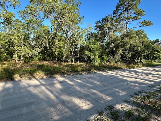 NE 139th Ave, Williston, FL 32696