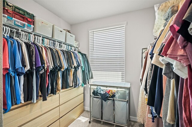 3108 Rock Sound St, Bradenton, FL 34208 - spacious closet with carpet floors