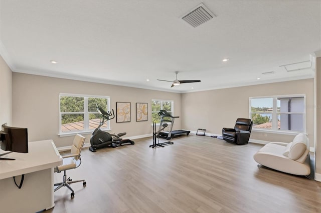 exercise area with light wood finished floors, healthy amount of natural light, baseboards, recessed lighting, and ornamental molding