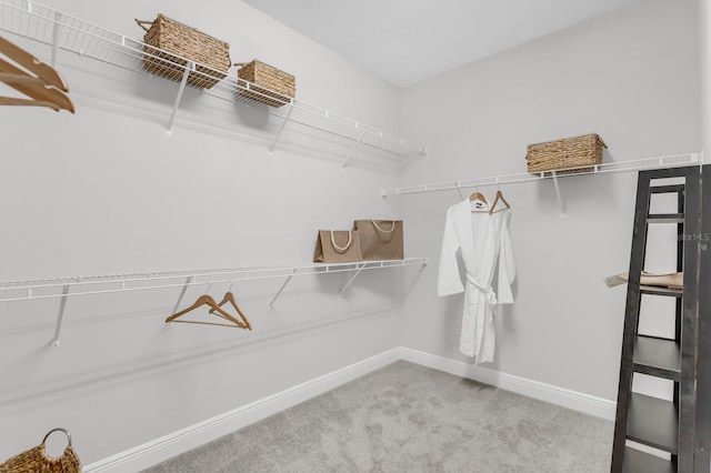 5770 Long Shore Loop, Sarasota, FL 34238 - spacious closet with carpet