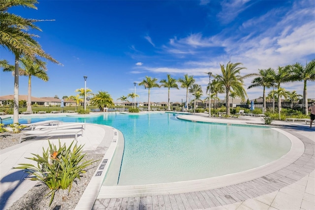 5770 Long Shore Loop, Sarasota, FL 34238 - community pool with a patio area