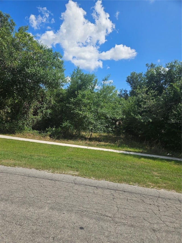 E Gibson St, Arcadia, FL 34266 - photo 3