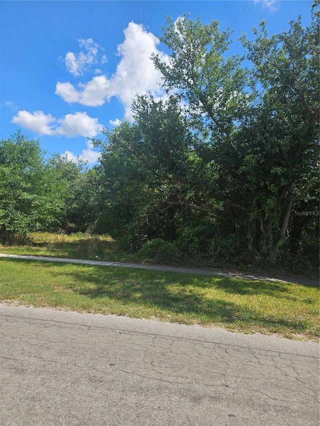 E Gibson St, Arcadia, FL 34266 - photo 4