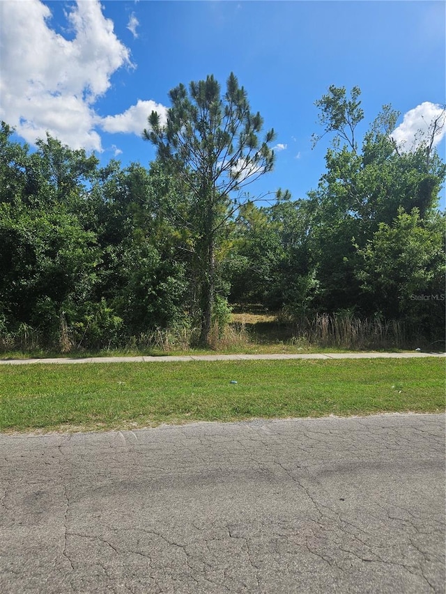 E Gibson St, Arcadia, FL 34266 - photo 5