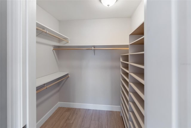 709 Sorrento Inlt Unit 709, Nokomis, FL 34275 - walk in closet with light wood-type flooring