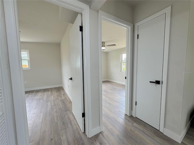 1902 24th Ave W, Bradenton, FL 34205 - hall with wood finished floors, healthy amount of natural light, and baseboards