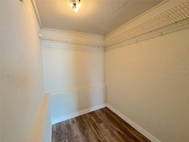 1902 24th Ave W, Bradenton, FL 34205 - spacious closet with dark wood-style floors