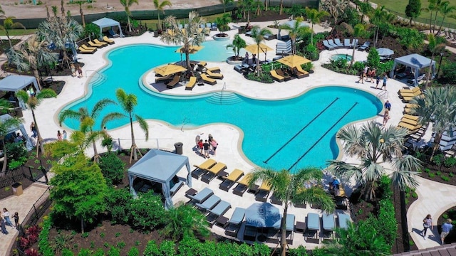 bird's eye view of a pool