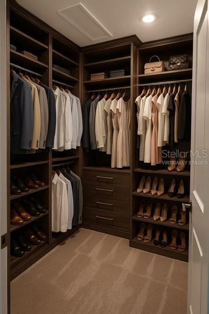 9064 Driven Snow St, Sarasota, FL 34241 - walk in closet with attic access and light colored carpet