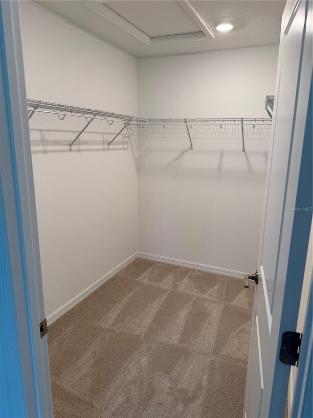 9064 Driven Snow St, Sarasota, FL 34241 - spacious closet featuring carpet