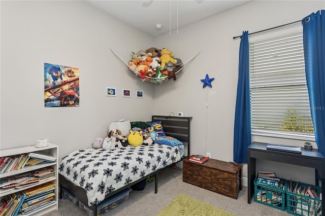 13708 Old Creek Ct, Parrish, FL 34219 - view of carpeted bedroom