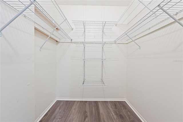 2419 Riverbluff Pkwy Unit V233, Sarasota, FL 34231 - walk in closet with wood finished floors