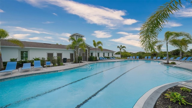 12728 Lateral Root Dr, Sarasota, FL 34238 - community pool with a patio area