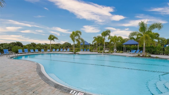 12728 Lateral Root Dr, Sarasota, FL 34238 - community pool featuring a patio area