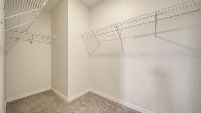 12732 Lateral Root Dr, Sarasota, FL 34238 - spacious closet featuring light colored carpet