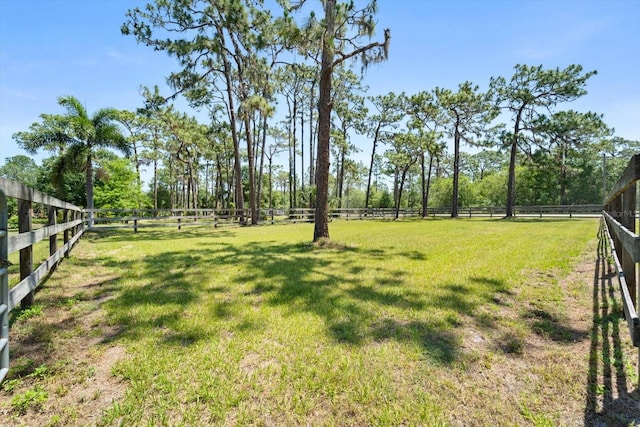 13719 Seminole Trl, Wimauma, FL 33598 - view of yard