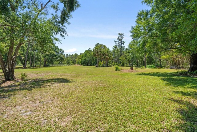 13719 Seminole Trl, Wimauma, FL 33598 - view of green lawn featuring a wooded view