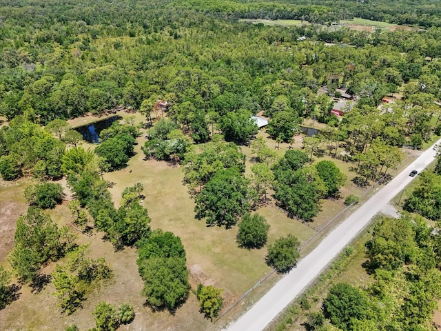 13719 Seminole Trl, Wimauma, FL 33598 - bird's eye view of a forest