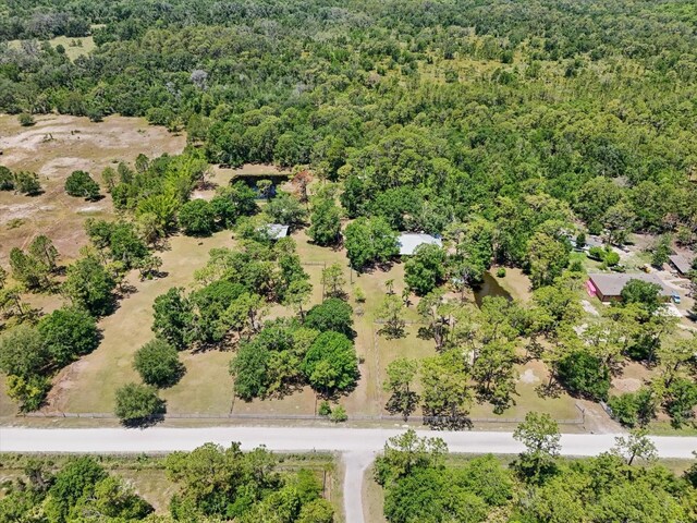 13719 Seminole Trl, Wimauma, FL 33598 - drone / aerial view of a forest
