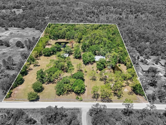 13719 Seminole Trl, Wimauma, FL 33598 - aerial view of property and surrounding area featuring a forest and property parcel outlined