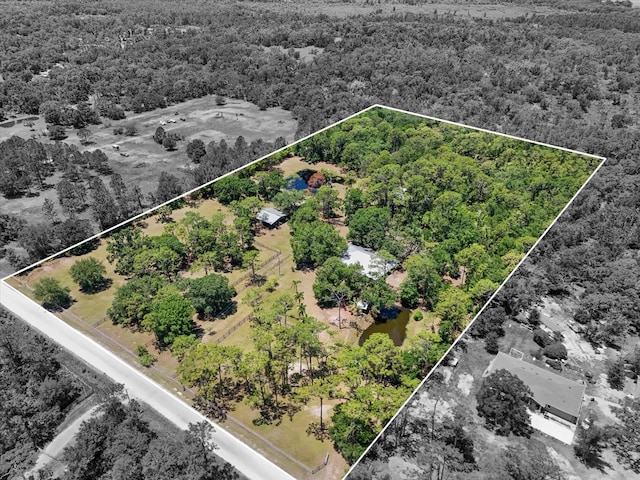 13719 Seminole Trl, Wimauma, FL 33598 - view of property location with property boundaries highlighted and a heavily wooded area