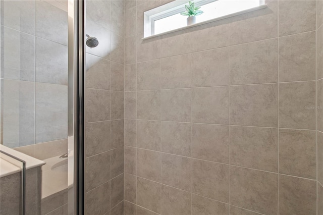 10962 High Noon Trl, Parrish, FL 34219 - bathroom with tiled shower