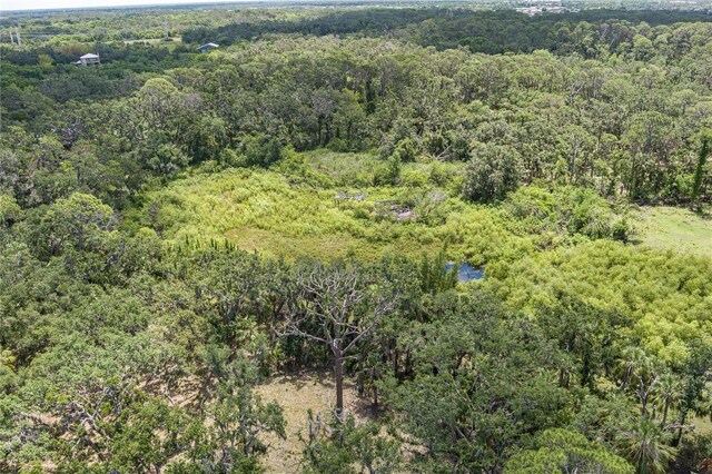 9625 Erie Rd, Parrish, FL 34219 - photo 27