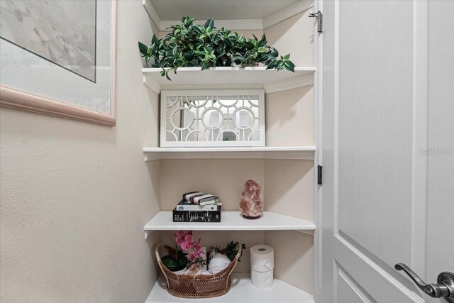 4402 Natures Reach Ter, Parrish, FL 34219 - detailed view of crown molding