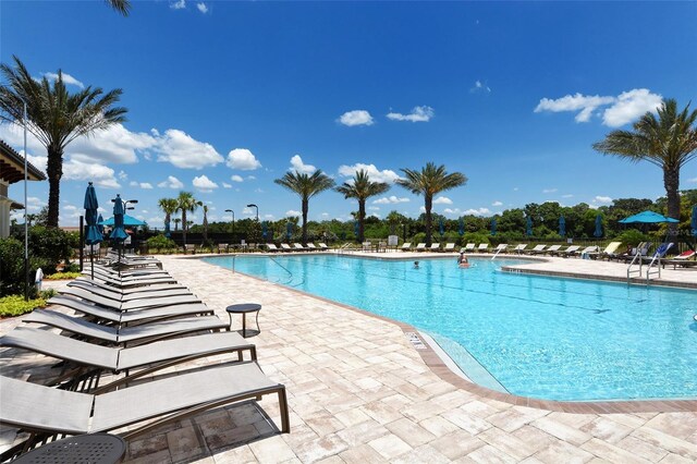 5968 Snowy Egret Dr, Sarasota, FL 34238 - photo 43