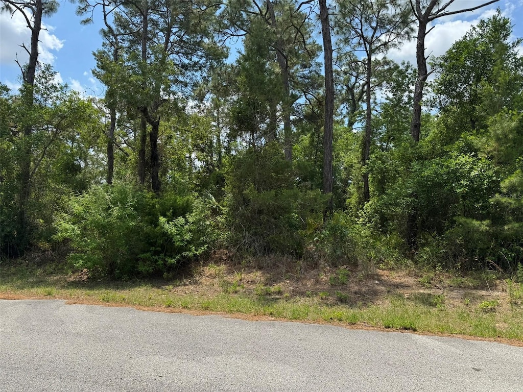 LOT77 Waterbird Way, Brooksville, FL 34613
