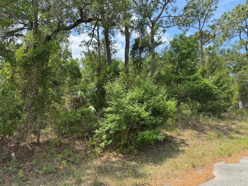 LOT77 Waterbird Way, Brooksville, FL 34613