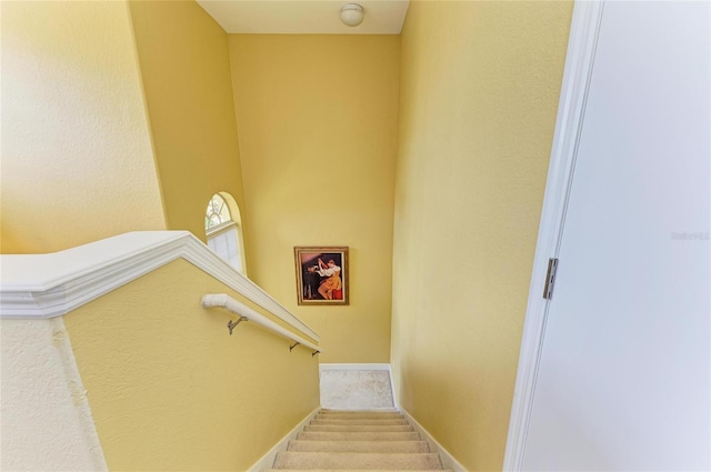 stairs featuring baseboards and carpet