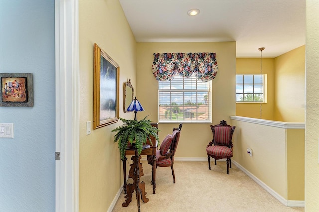 living area with carpet and baseboards