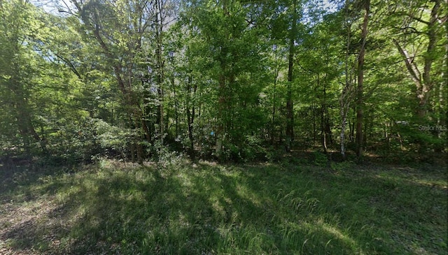 3746 284th Ter, Branford, FL 32008 - photo 2