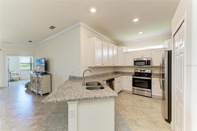 24065 Canterwood Way, Venice, FL 34293 - kitchen featuring appliances with stainless steel finishes, a sink, a peninsula, ornamental molding, and light stone counters