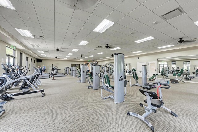 24065 Canterwood Way, Venice, FL 34293 - gym with a paneled ceiling, a ceiling fan, and carpet