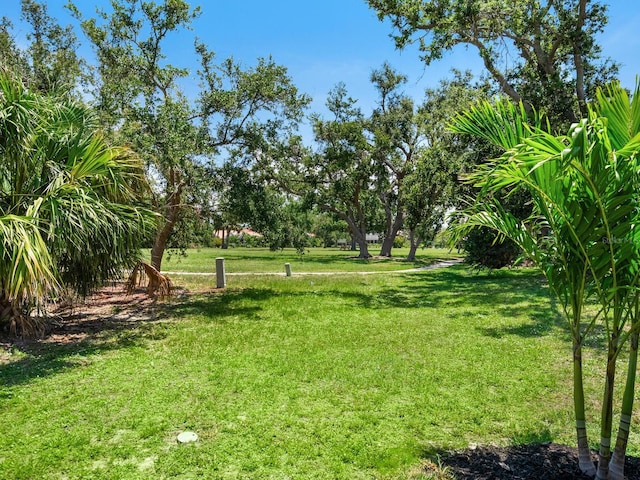 180 Lookout Point Dr, Osprey, FL 34229 - view of green lawn