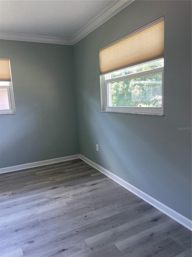 48 Dade Ave, Sarasota, FL 34232 - photo 15