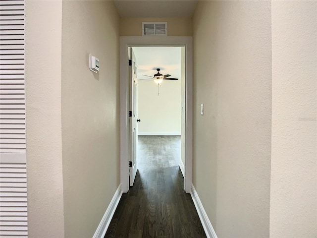 4209 W Woodlawn Ave, Tampa, FL 33614 - photo 34