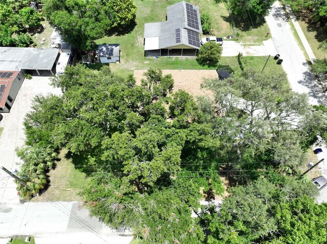 4209 W Woodlawn Ave, Tampa, FL 33614 - photo 73