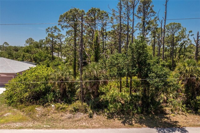 17411 Powell Ave, Port Charlotte, FL 33948 - photo 9