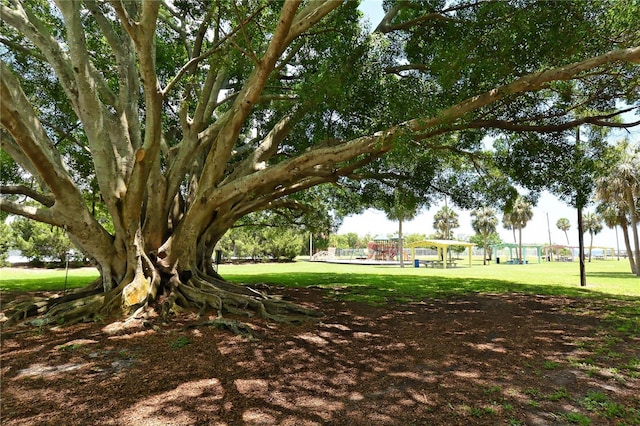 1212 Princeton Ave, Bradenton, FL 34207 - view of green lawn