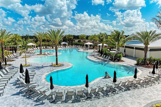 3027 Formia Ct, Lakewood Ranch, FL 34211 - community pool featuring a patio