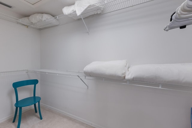 walk in closet featuring carpet