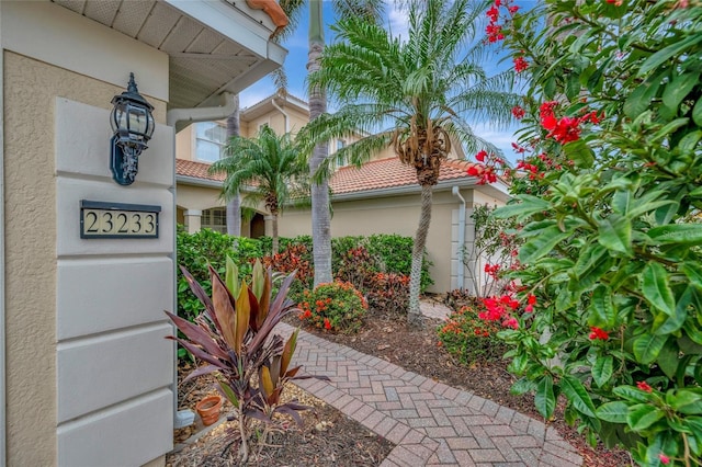 23233 Banbury Way Unit 302, Venice, FL 34293 - property entrance with stucco siding