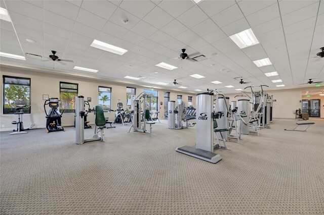 23233 Banbury Way Unit 302, Venice, FL 34293 - exercise room with a ceiling fan, baseboards, carpet flooring, and a paneled ceiling