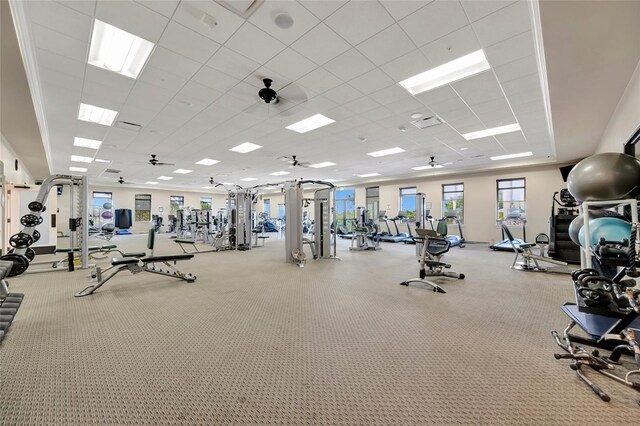 23233 Banbury Way Unit 302, Venice, FL 34293 - gym with a drop ceiling